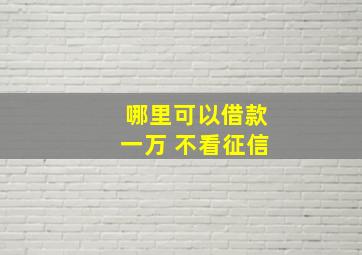 哪里可以借款一万 不看征信